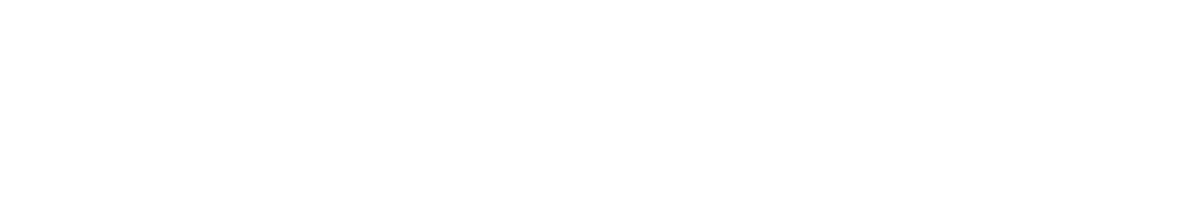 flexoraa-white-logo-2x